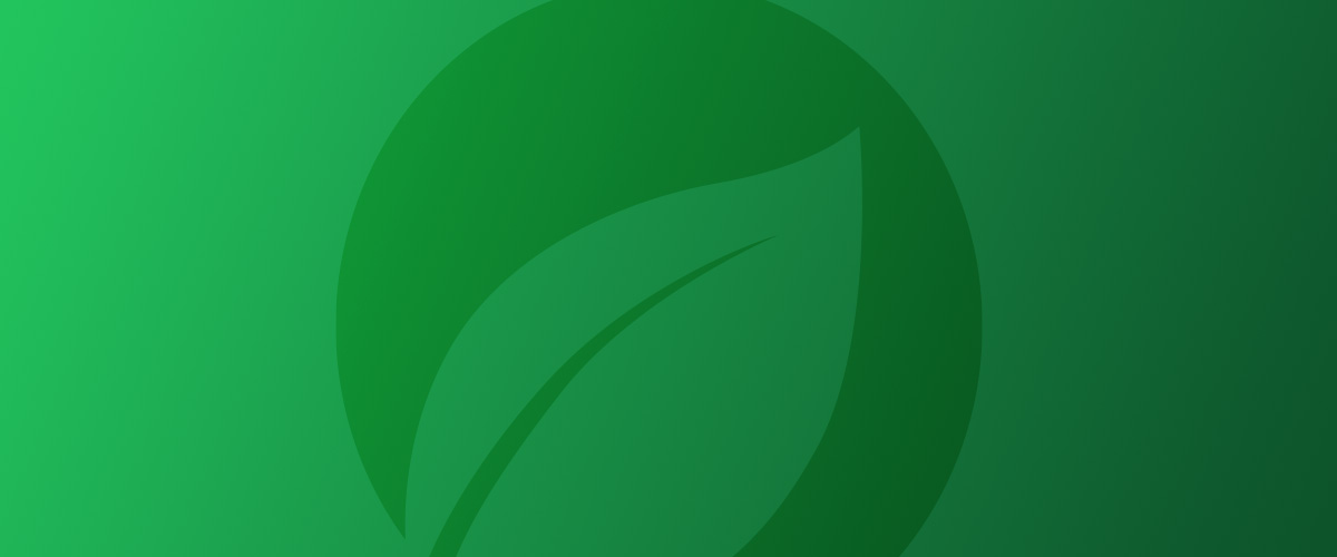 Il team di Energia Verde Italia